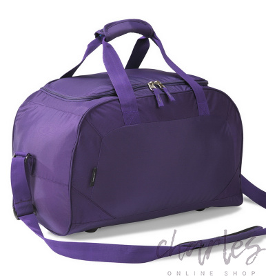 Спортивная сумка Colorissimo фиолетовая LS41PR